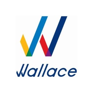 WALLACE INSTRUMENTS